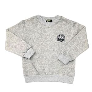 Σετ Φόρμα Φούτερ Παιδική Για Αγόρι BR-233 Γκρι e-sofi.gr